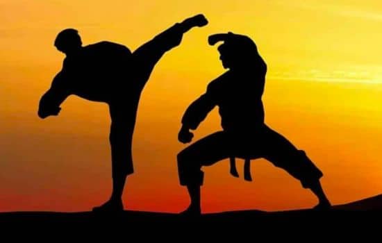 Conviértete en un Maestro de las Artes Marciales desde Casa