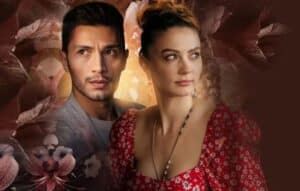 Vive la Magia de las Novelas Turcas con Estas Aplicaciones