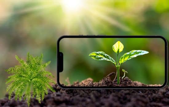 Redescubriendo la Naturaleza con un Toque de Tecnología