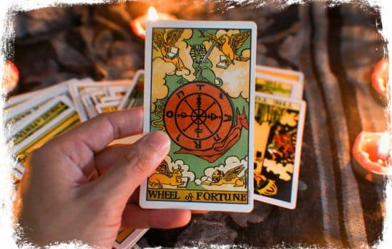 ¿Curioso Sobre tu Futuro? ¡Descubre el Tarot Desde tu Teléfono!