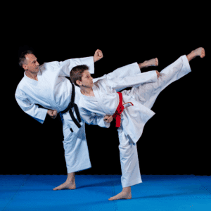 Aplicaciones para aprender karate Shorin Ryu