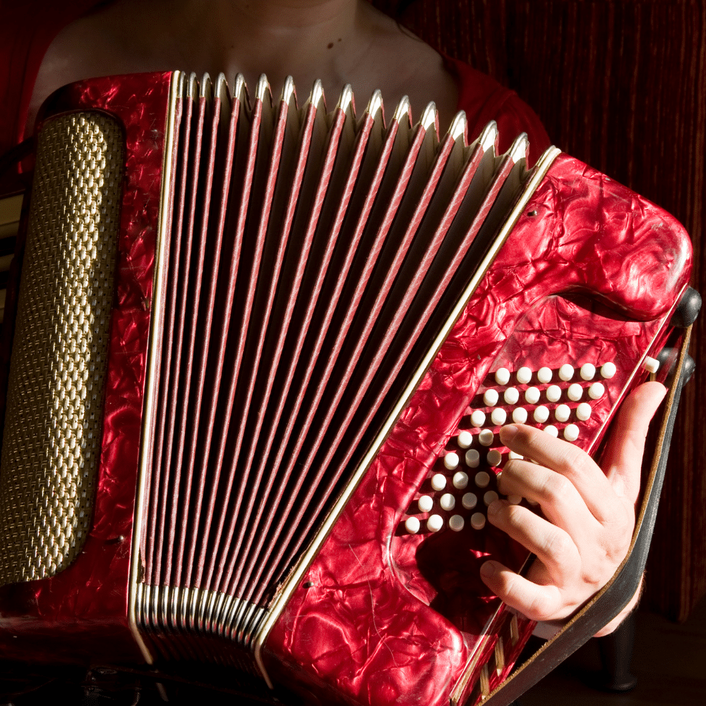 Domina el acordeón con My Accordion!